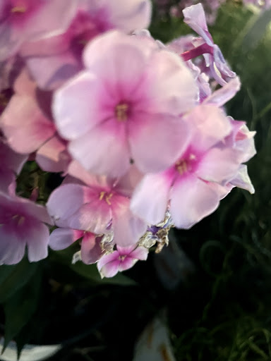 Home Improvement Store «The Home Depot», reviews and photos, 899 County St, Taunton, MA 02780, USA