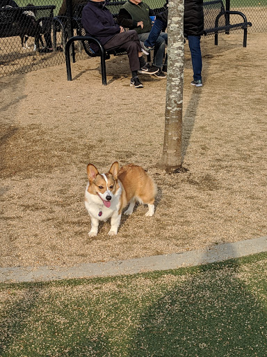 Dog Park «Bay Park Dog Park», reviews and photos, 2 Marjorie Ln, East Rockaway, NY 11518, USA