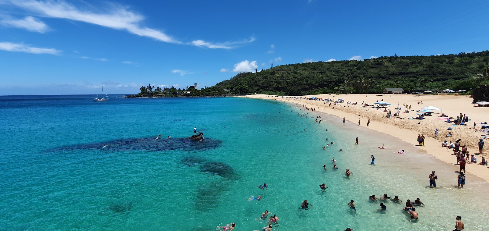 Foto von Waimea Beach mit sehr sauber Sauberkeitsgrad