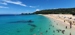 Foto von Waimea Beach mit sehr sauber Sauberkeitsgrad
