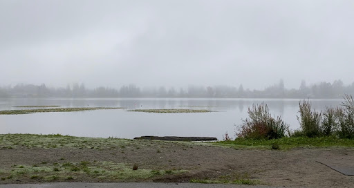 Park «Thornton A. Sullivan Park», reviews and photos, 11405 Silver Lake Rd, Everett, WA 98208, USA