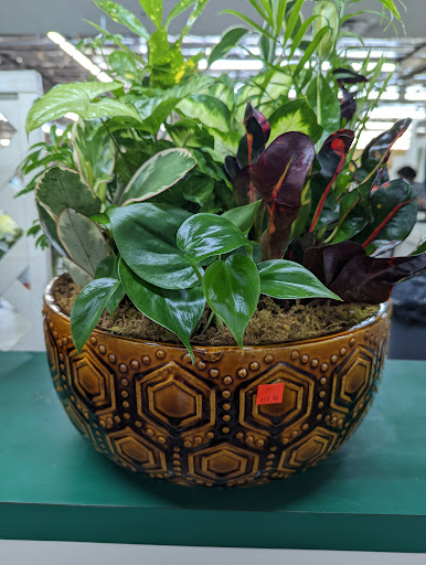 Florist «Norfolk Wholesale Floral», reviews and photos, 601 E Brambleton Ave, Norfolk, VA 23510, USA