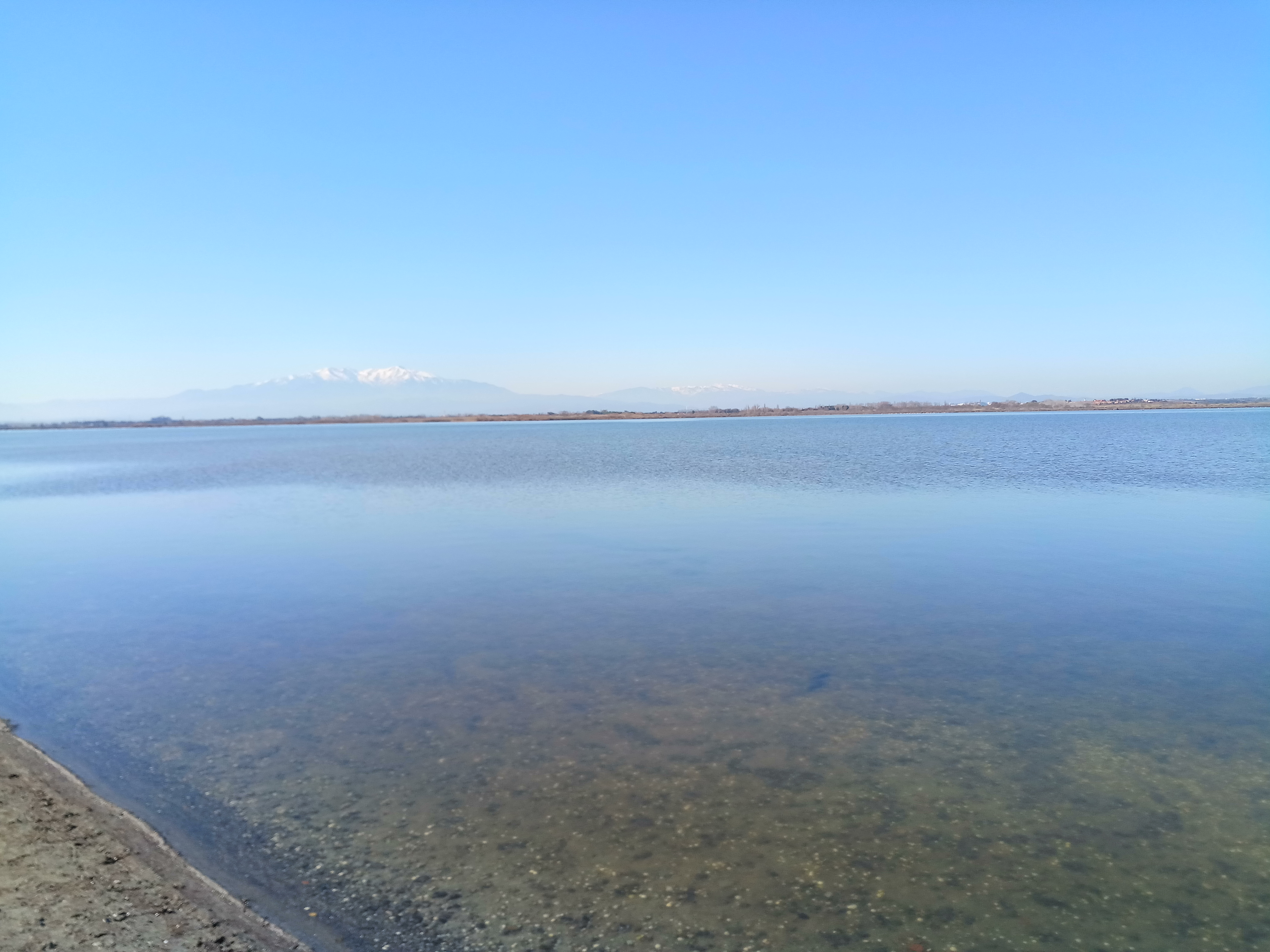 Photo n° 9 de l'avis de Dani.a fait le 18/02/2019 à 06:21