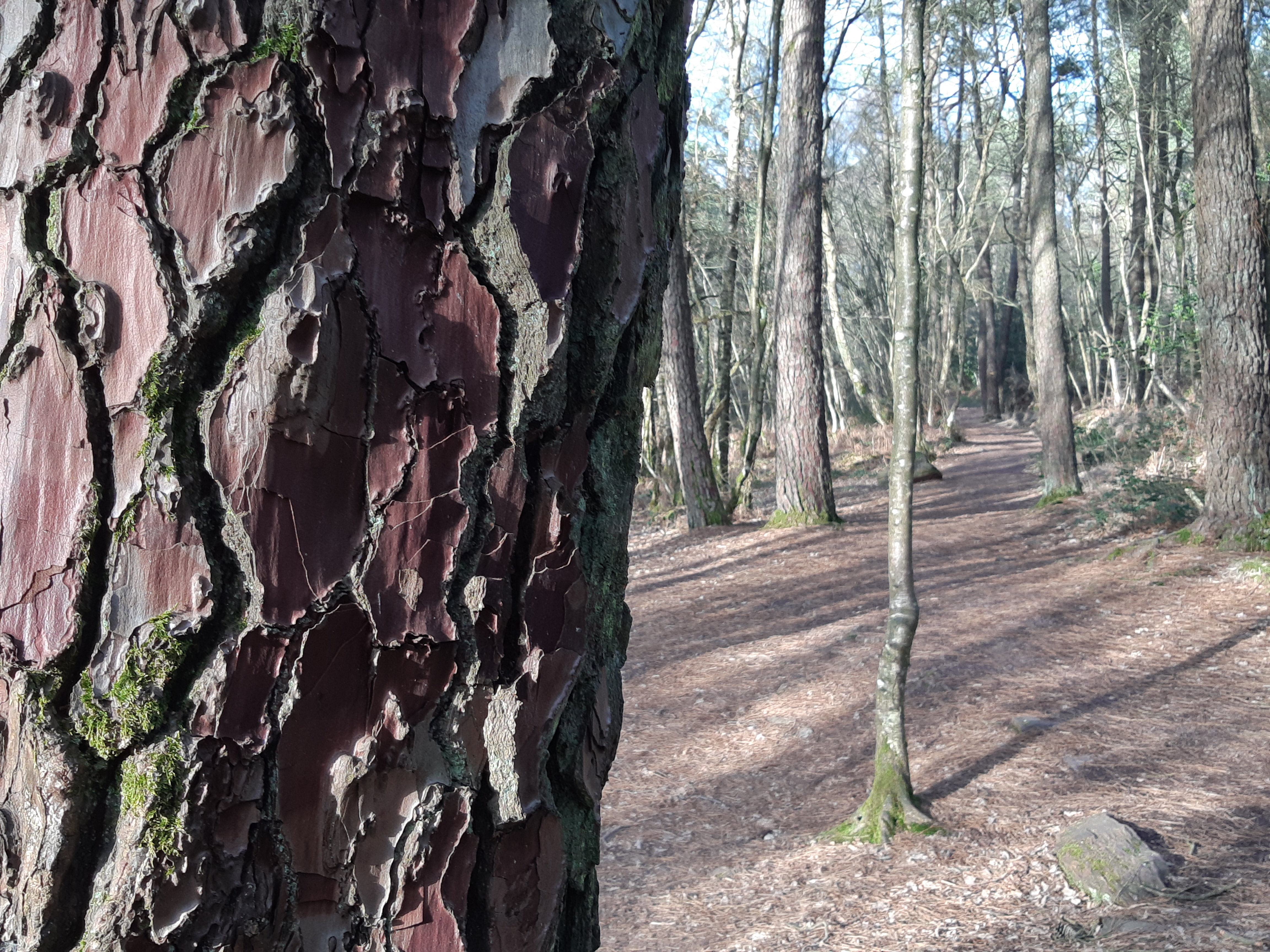 Photo n° 14 de l'avis de Jean-Paul.o fait le 10/03/2019 à 18:01