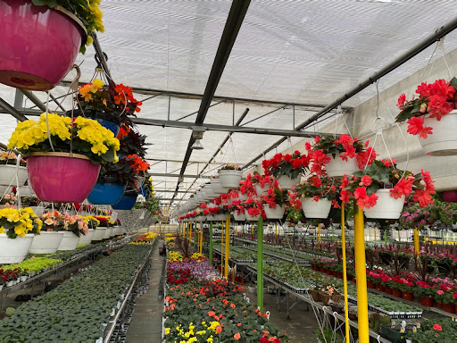 Florist «Dutch & Olgas Greenhouse», reviews and photos, 1285 NJ-36, Hazlet, NJ 07730, USA