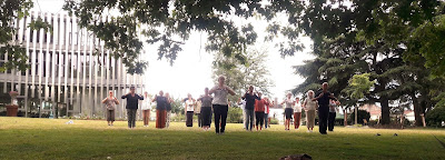 Lotus Bleu Tai Chi et Qi Gong à Les Herbiers