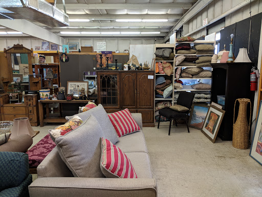 Thrift Store «Humane Society of Marion County: Thrift Store», reviews and photos, 110 NW 10th St, Ocala, FL 34475, USA