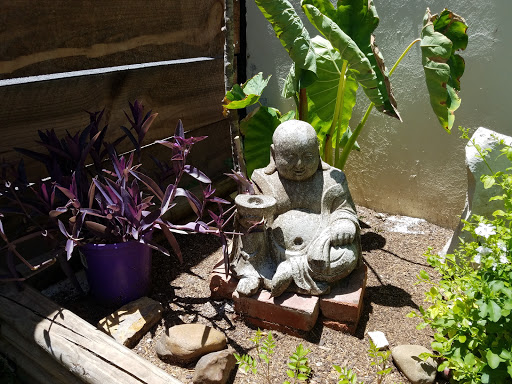 Coffee Shop «Court Street Coffee Shop», reviews and photos, 111 W Court St, Seguin, TX 78155, USA