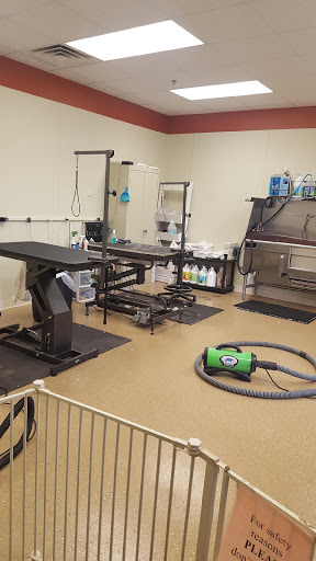 Pet Store «Pet Depot», reviews and photos, 10008 Memorial Pkwy SW, Huntsville, AL 35803, USA