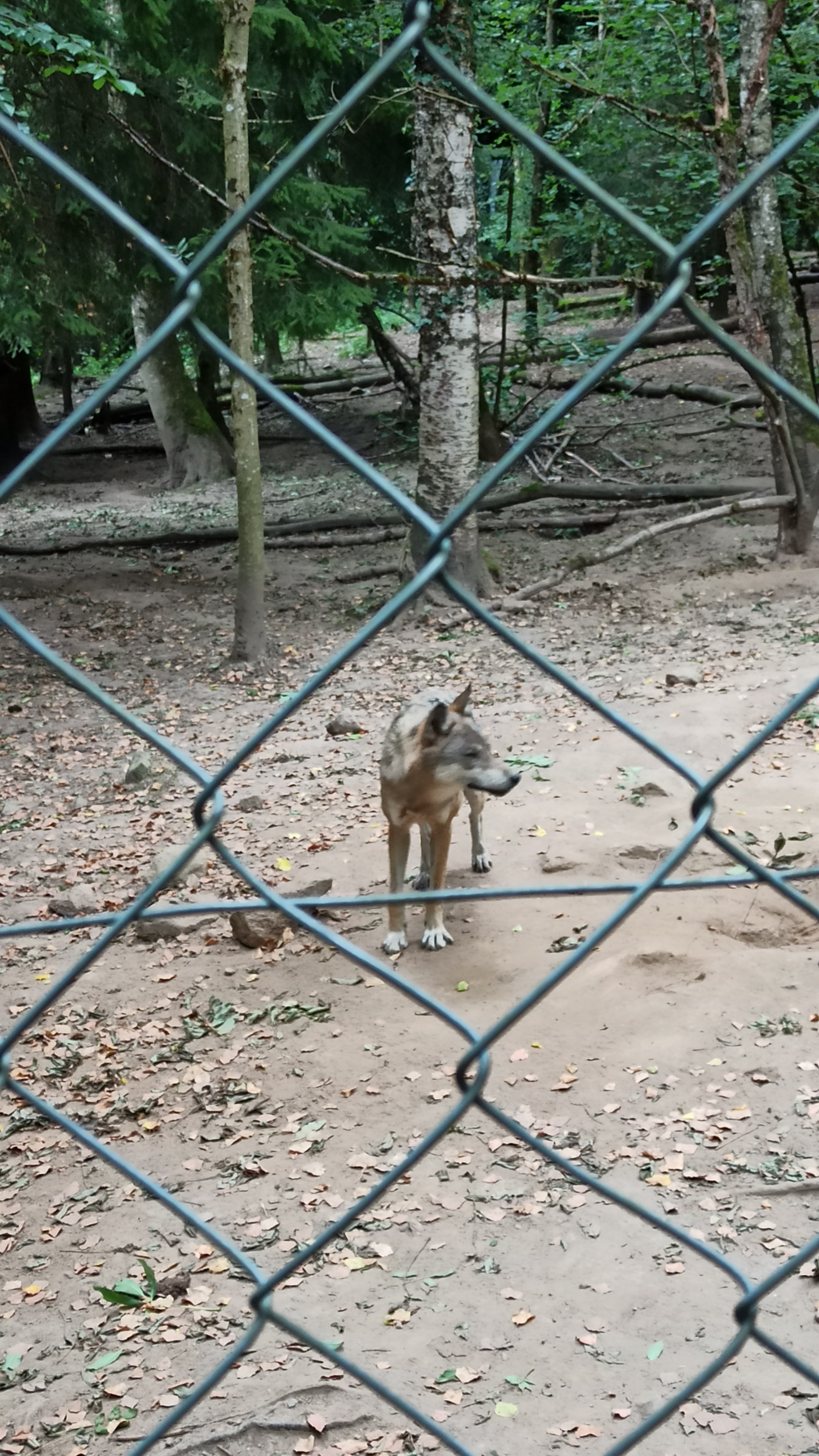 Photo n° 3 de l'avis de Laetitia.i fait le 22/08/2021 à 19:32