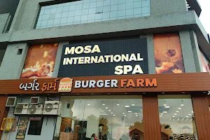 Mosa International Spa image