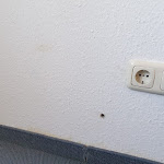 Photo n°4 de l'avis de Co. fait le 14/08/2022 à 16:32 sur le  Hotel und Restaurant Schloss Weißenburg à Uhlstädt-Kirchhasel