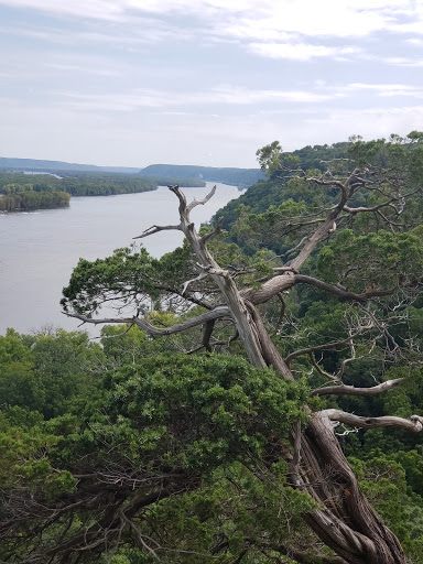 Visitor Center «Effigy Mounds National Monument Visitor Center», reviews and photos, 151 IA-76, Harpers Ferry, IA 52146, USA