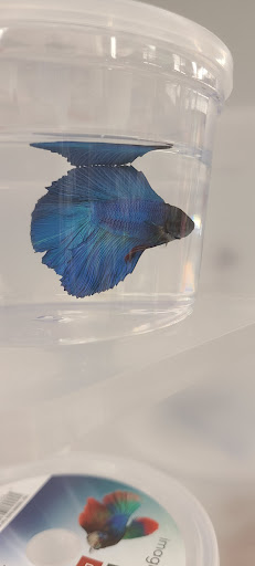 Pet Supply Store «Petco Animal Supplies», reviews and photos, 2565 NE 10th Ct, Homestead, FL 33035, USA