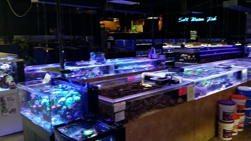 Tropical Fish Store «Aquarium Concepts», reviews and photos, 6920 Amador Plaza Rd, Dublin, CA 94568, USA