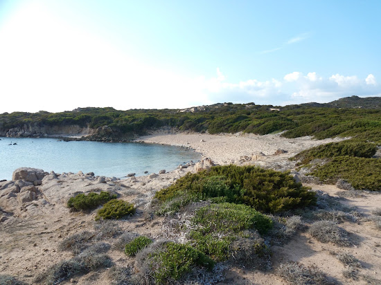 La Testa beach VII