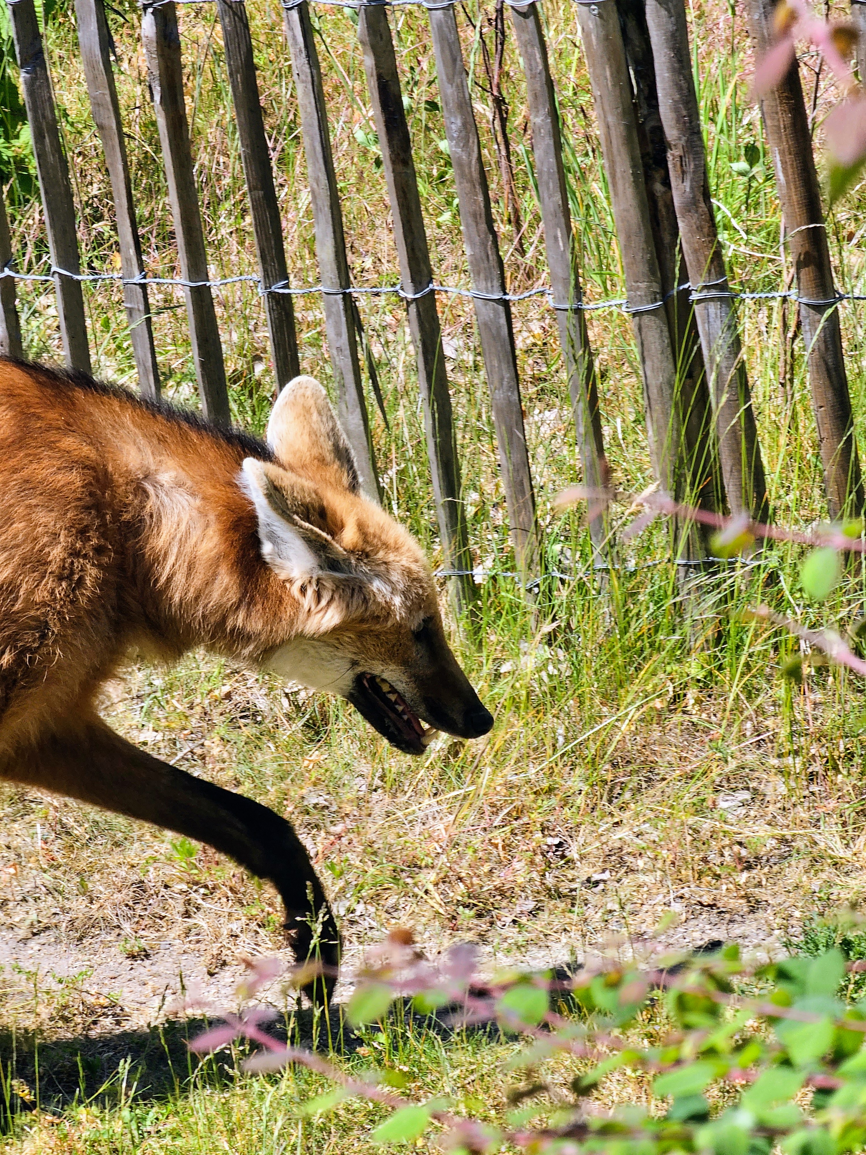 Photo n° 3 de l'avis de Envy.e fait le 03/06/2023 à 13:47