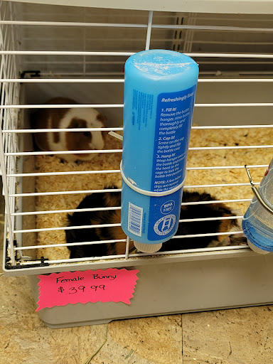 Pet Store «Feed-Rite Pet Supply», reviews and photos, 2979 Fort St, Lincoln Park, MI 48146, USA