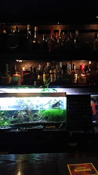 ShotBar Memphis