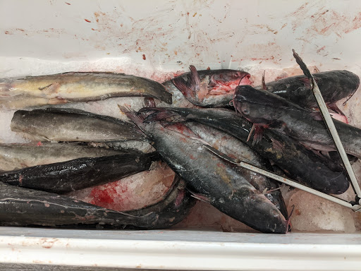 Asian Grocery Store «Lotus Blossom Inc», reviews and photos, 2750 Main Ave, Fargo, ND 58103, USA