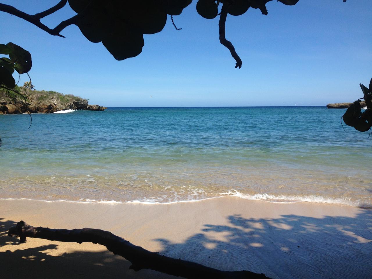 Playa Delfin的照片 带有碧绿色纯水表面