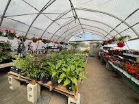 Barn Owl Garden Center - Photo 3 - Car repair in Carol Stream, IL, Naperville