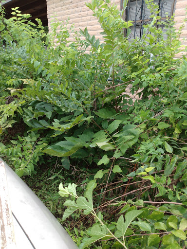 Park «Vidaurri Park», reviews and photos, 1201 Merida St, San Antonio, TX 78207, USA