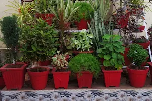Garden image