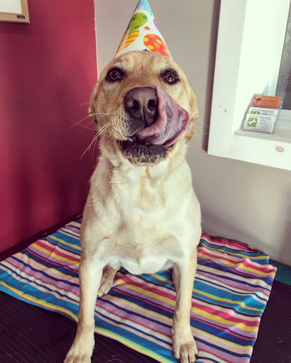 Pet Supply Store «Willow Farm Pet Services», reviews and photos, 21 VT-106, North Springfield, VT 05150, USA