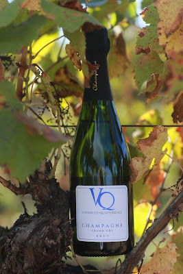 Vignobles & Quintessence à Vaudemange