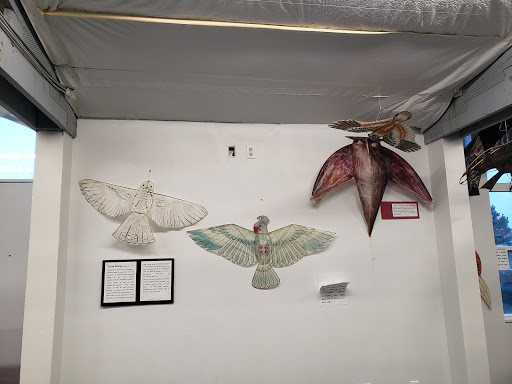 Museum «World Kite Museum & Hall-Fame», reviews and photos, 303 Sid Snyder Dr, Long Beach, WA 98631, USA