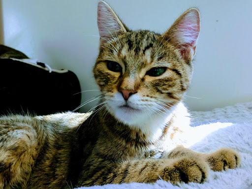 2820 Old Lincoln Hwy, Feasterville-Trevose, PA 19053, USA