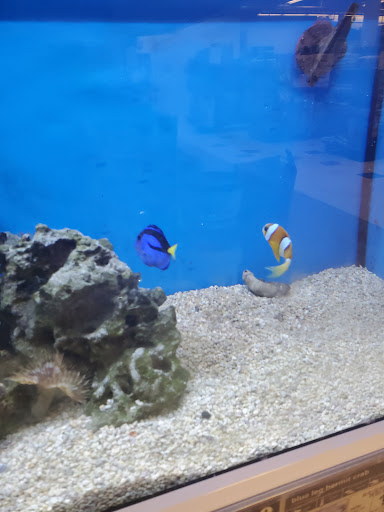 Pet Supply Store «Petco Animal Supplies», reviews and photos, 300 Hylan Dr, Rochester, NY 14623, USA