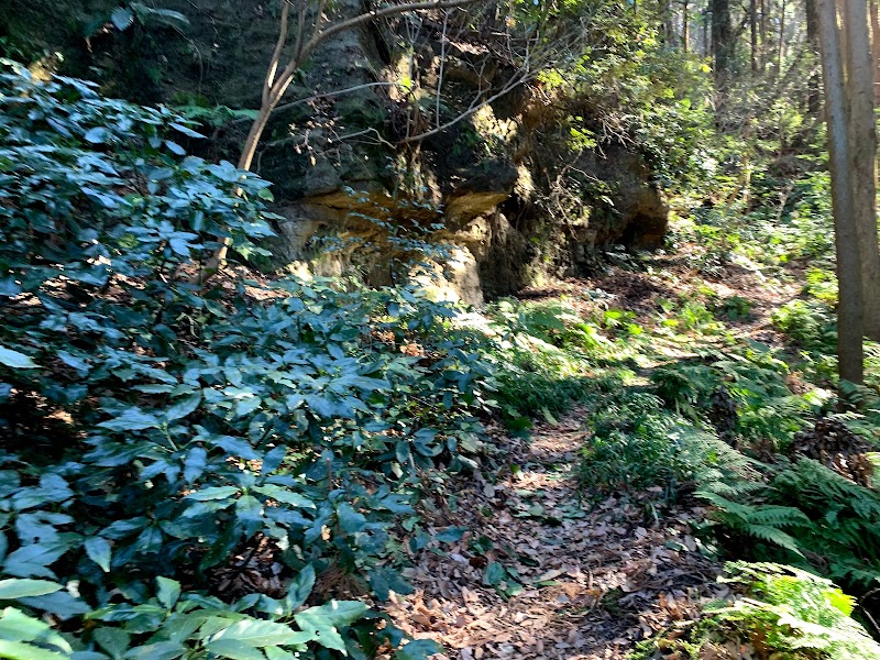 衣張山登山道入口