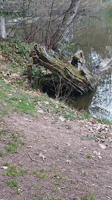 Office National Forêts à Dompierre-les-Ormes