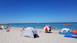 North Coogee Dog Beach'in fotoğrafı ve yerleşim