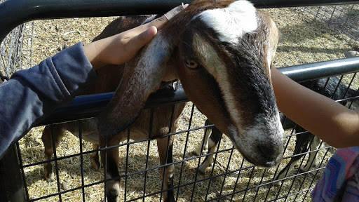 4059 4000 W, West Valley City, UT 84120, USA