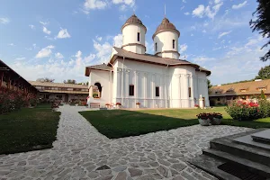 Mănăstirea Viforâta image