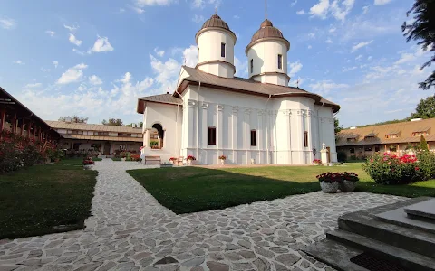 Mănăstirea Viforâta image