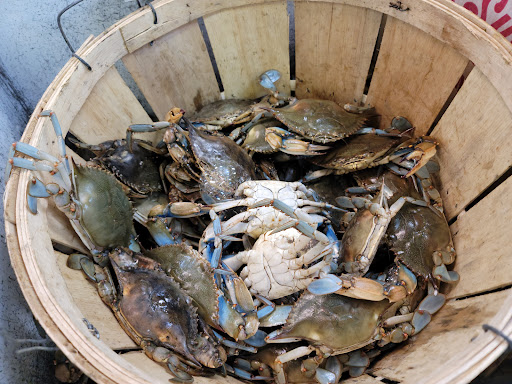 Grocery Store «Asia Grocery---华越», reviews and photos, 5444 Virginia Beach Blvd # 112, Virginia Beach, VA 23462, USA