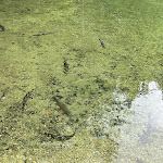 Photo n°1 de l'avis de Arkadius.o fait le 03/06/2022 à 06:01 sur le  Hotel am Badersee à Grainau