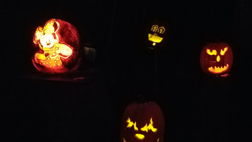 Zoo «Jack-O-Lantern Spectacular», reviews and photos, 1000 Elmwood Ave, Providence, RI 02905, USA