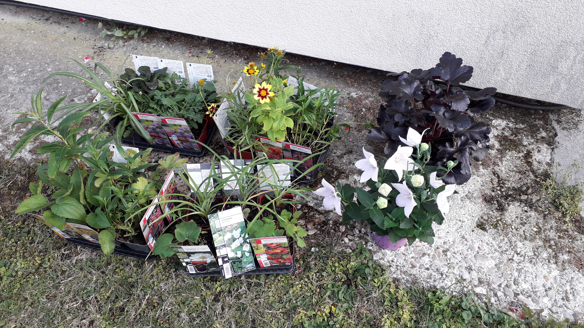Photo n° 1 de l'avis de Svetlana.o fait le 11/09/2020 à 16:36