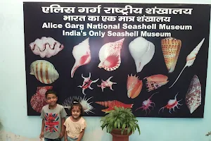 Alice Garg National Seashell Museum Jaipur image