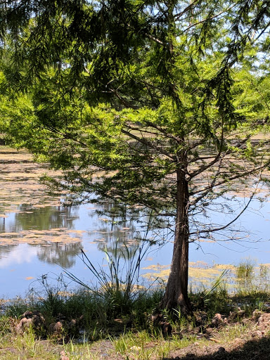 Art Museum «Mobile Museum of Art», reviews and photos, 4850 Museum Dr, Mobile, AL 36608, USA