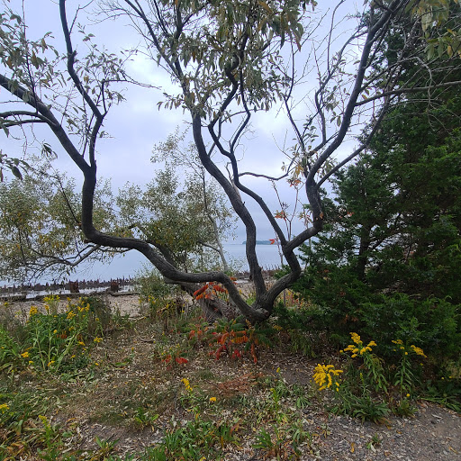 State Park «Squantum Point Park», reviews and photos, Miwra Haul Rd, Quincy, MA 02171, USA