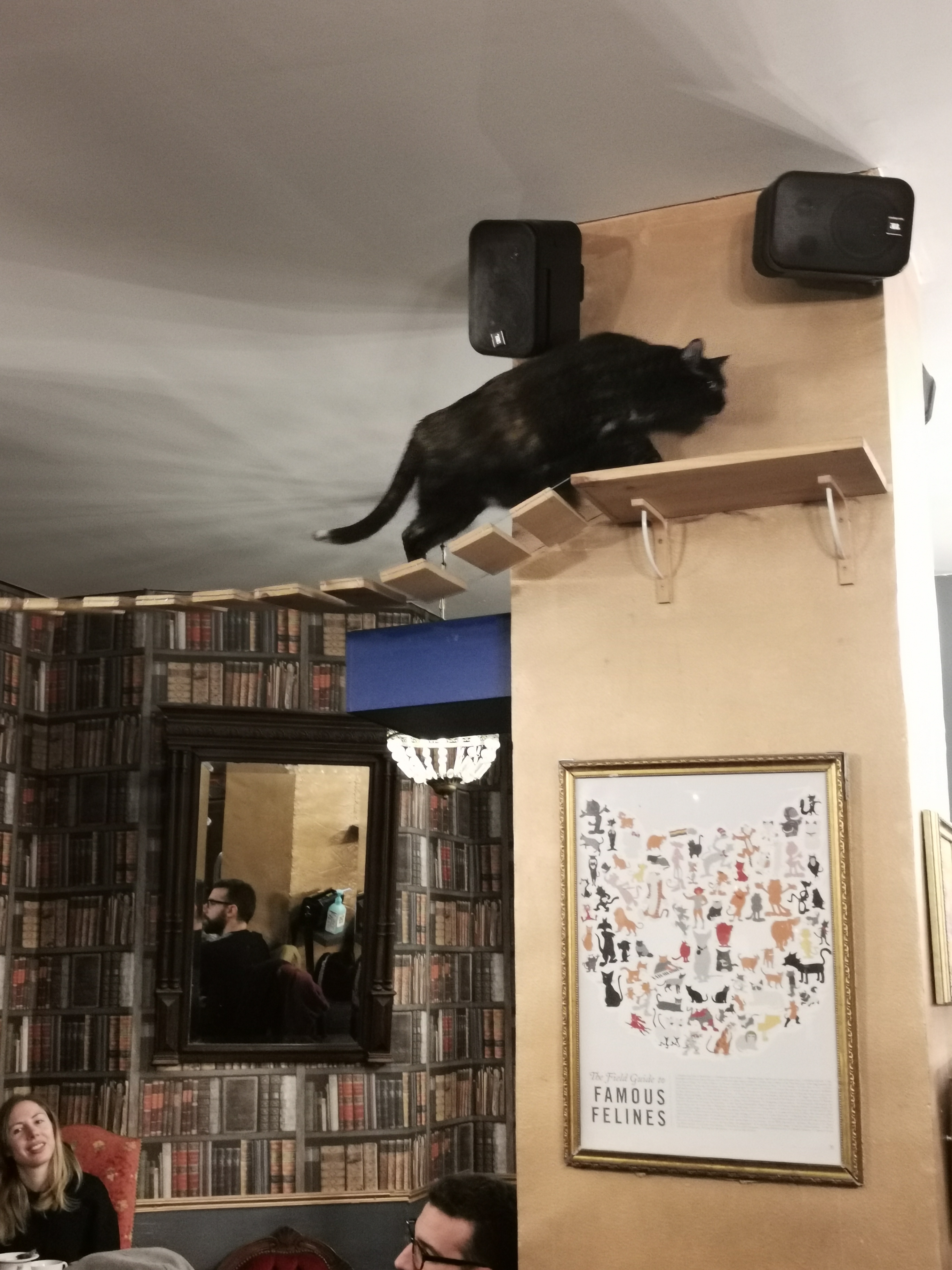 Photo n° 3 de l'avis de Evelyne.o fait le 20/02/2022 à 14:43