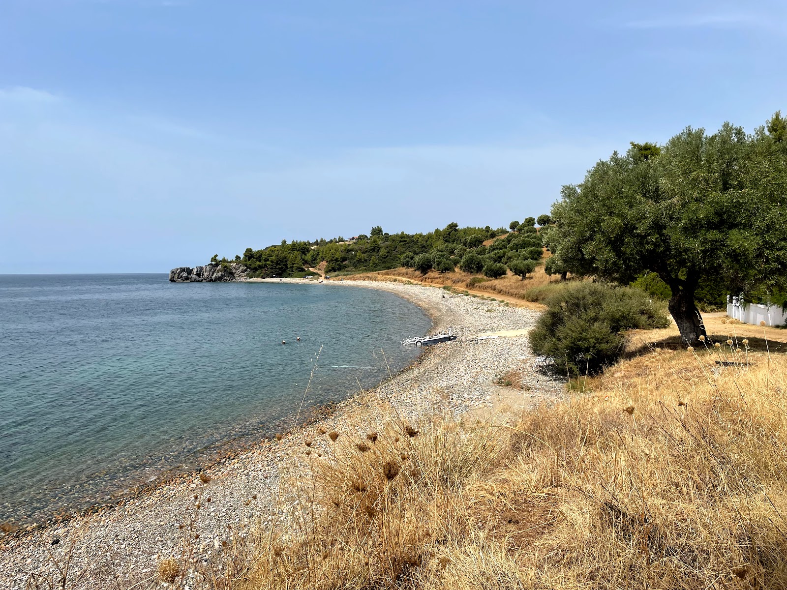 Foto av Ani beach II med grönt vatten yta