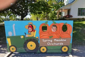 Spring Meadow Orchards image