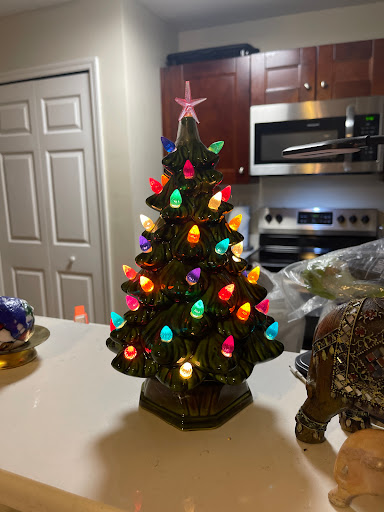 Dollar Store «Dollar Tree», reviews and photos, 715 W Dr Martin Luther King Jr Blvd, Seffner, FL 33584, USA